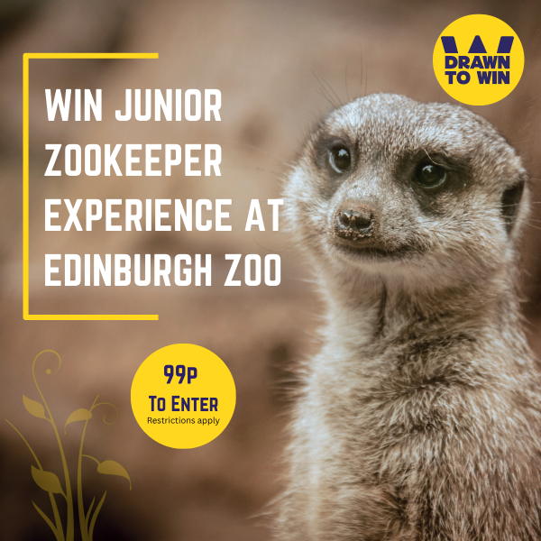 Junior Zoo Keeper Experience